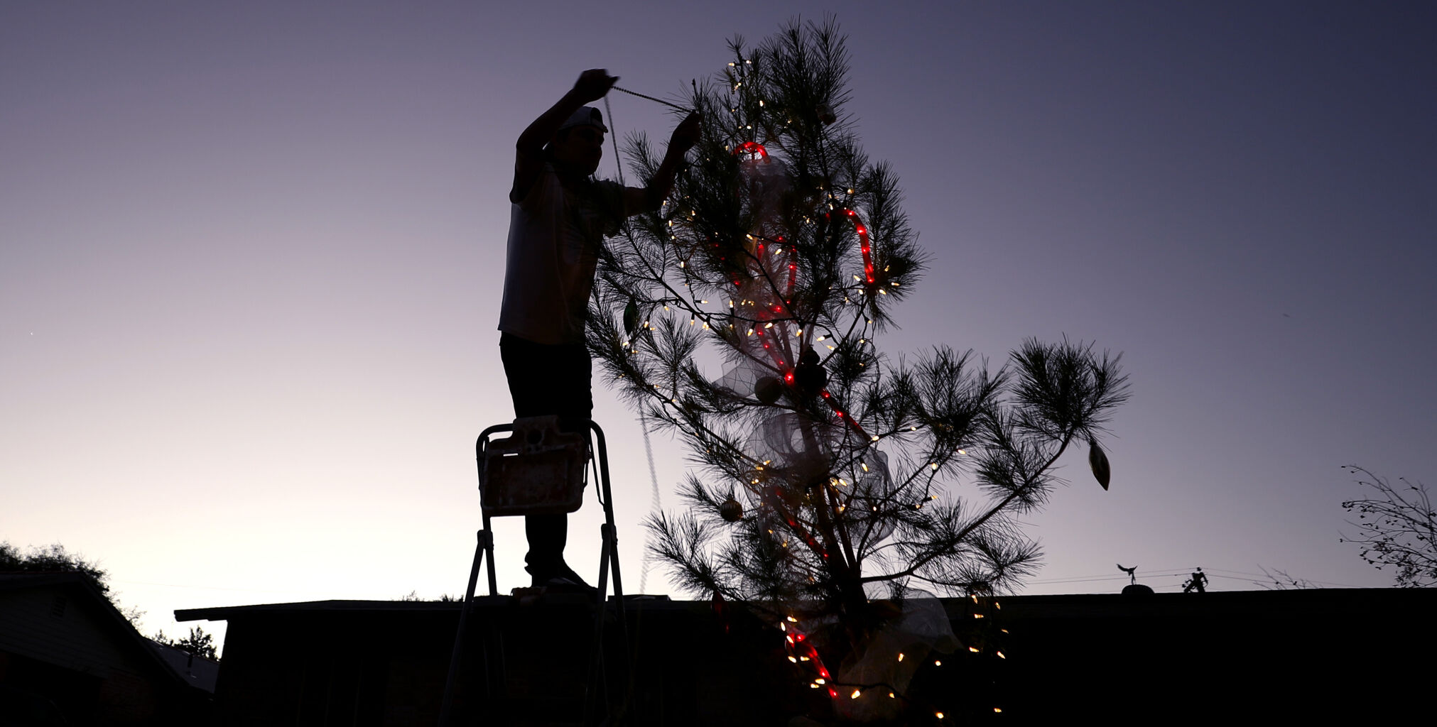 Winterhaven Festival of Lights